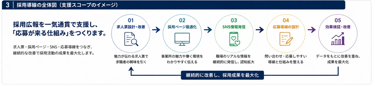 採用導線の全体図